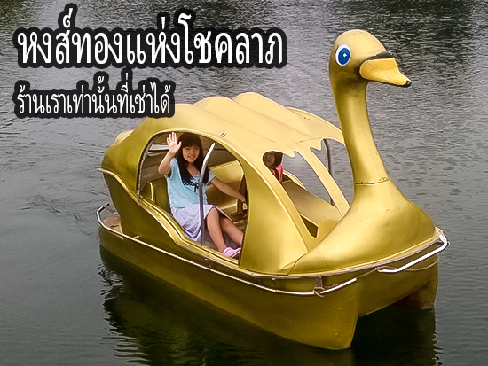 เรือหงส์